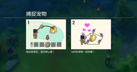 《海岛纪元》宠物系统攻略