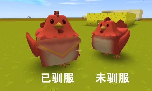 《迷你世界》飞鸡怎么捕捉