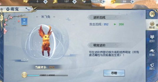 《武动乾坤》手游宠物怎么养