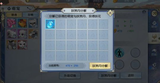 《武动乾坤》手游宠物怎么养