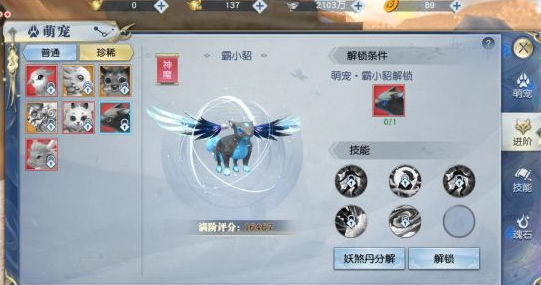 《武动乾坤》手游宠物怎么养