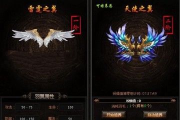《烈焰传奇》升级需要多少羽毛