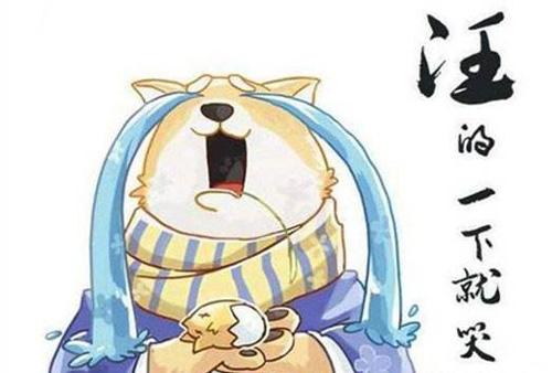 《阴阳师》道馆阵容怎么搭配