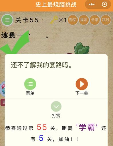 《史上最烧脑挑战》第55关图文攻略