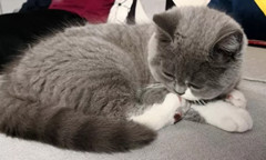 �������ܿᡷ��ǰͻ�����ȫ