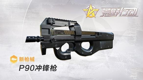 ����Ұ�ж���P90���ǹ����