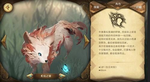 《万象物语》库尔的旅程特级通关攻略
