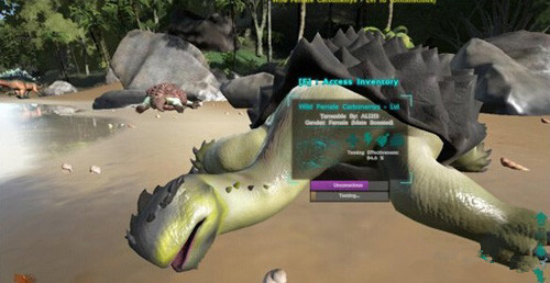 �����������������ôץ��