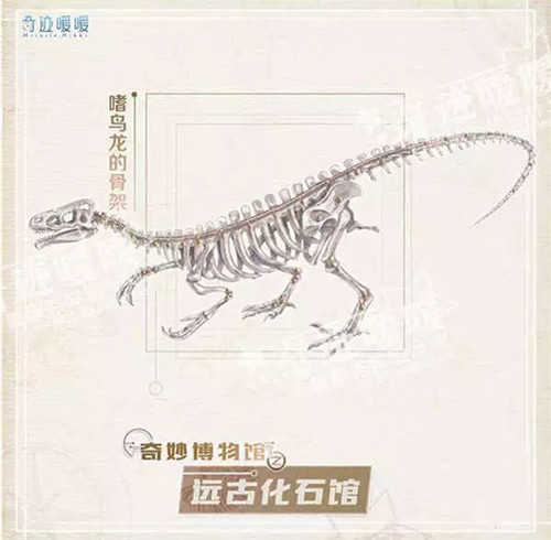 《奇迹暖暖》远古化石馆玩法规则一览