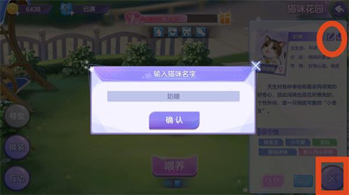 《喵与筑》猫咪怎么改名