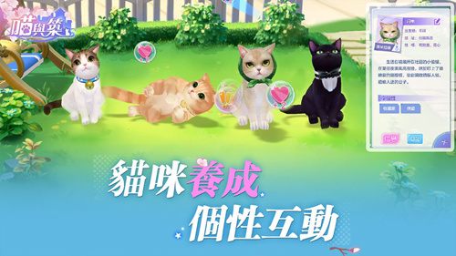 《喵与筑》有破解版吗