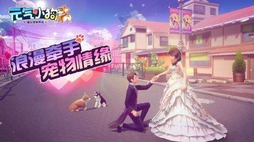 《元气小狗》闪退怎么办