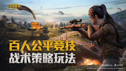 《和平精英》是什么游戏