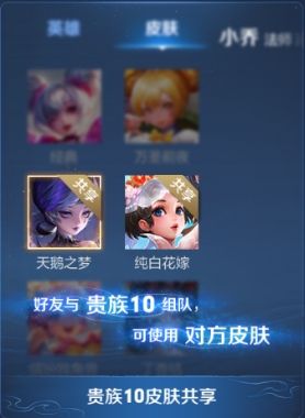 王者荣耀v10共享皮肤什么意思_王者荣耀v10共享皮肤指的是什么
