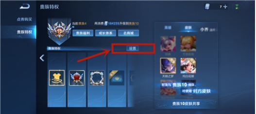 《王者荣耀》v10共享皮肤怎么关闭