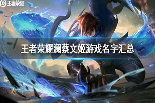《王者荣耀》有哪些关于澜和蔡文姬的ID