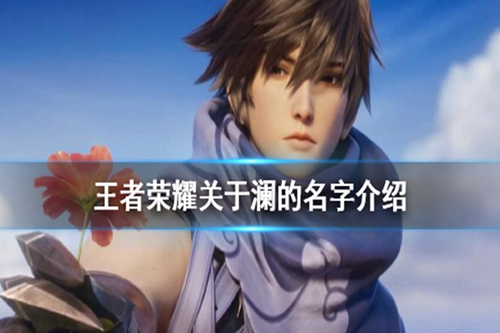 《王者荣耀》有哪些关于澜的ID