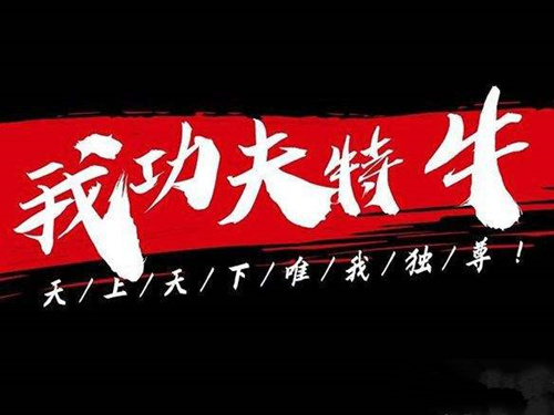 《我功夫特牛》下载的安装包在哪