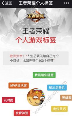 《王者荣耀》王者标签在哪看