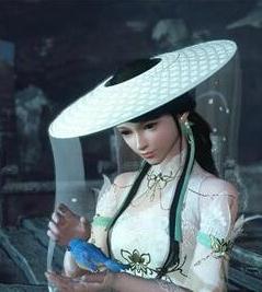 《遇见逆水寒》手游捏脸数据代码