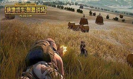 《绝地求生:刺激战场》4月25号维护到几点?