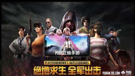 《绝地求生:全军出击》战队名字大全