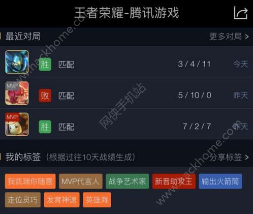 《王者荣耀》标签什么意思