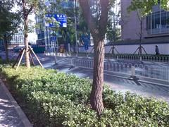 精钢质感 诺基亚直板TD新机C5-01评测 精钢质感 诺基亚直板TD新机C5-01评测