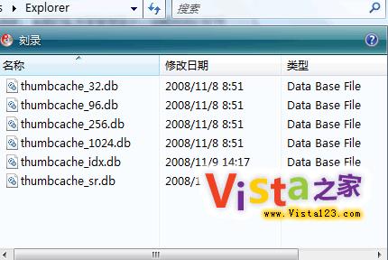 删除Vista系统下无用的缩略图文件 删除Vista系统下无用的缩略图文件