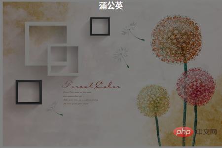 背景图像透明 背景图像透明