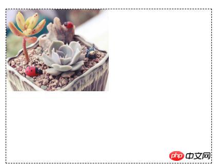 1539930429603089.jpg 2.jpg