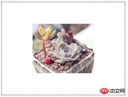 1539930273568827.jpg 1.jpg