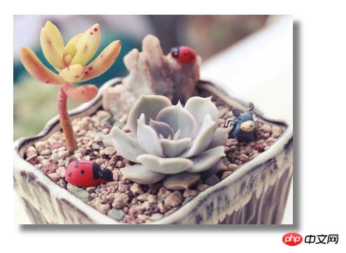 1539834402154297.jpg 1.jpg