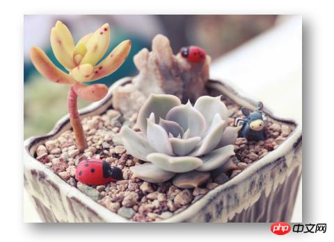 1539841316558232.jpg 1.jpg