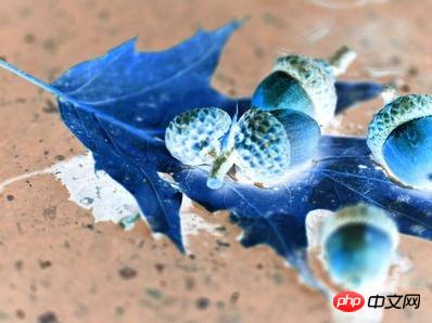 1539830215633415.jpg 10.jpg