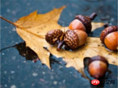 1539826743736521.jpg 2.jpg