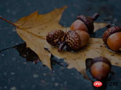 1539828211212211.jpg 3.jpg