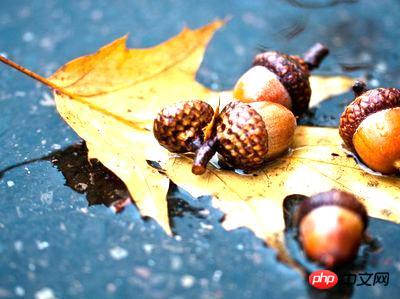 1539828284730270.jpg 4.jpg