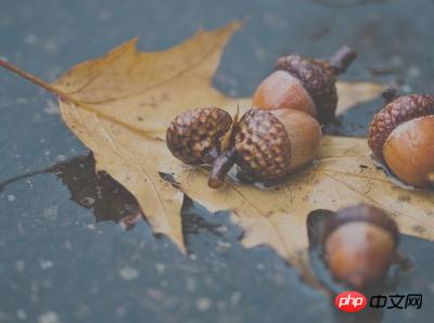 1539828596164111.jpg 5.jpg