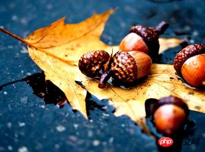 1539828676900649.jpg 6.jpg