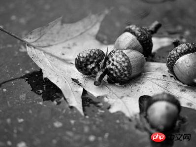 1539829658924228.jpg 8.jpg