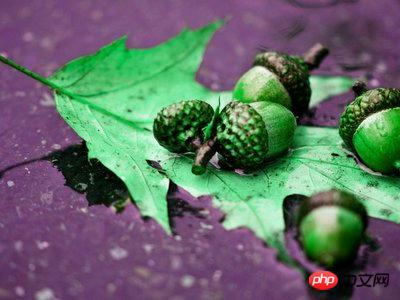 1539829936928267.jpg 9.jpg