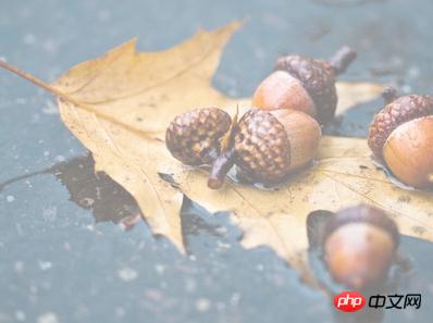 1539830717155561.jpg 11.jpg