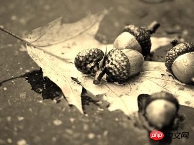 1539830988504778.jpg 13.jpg