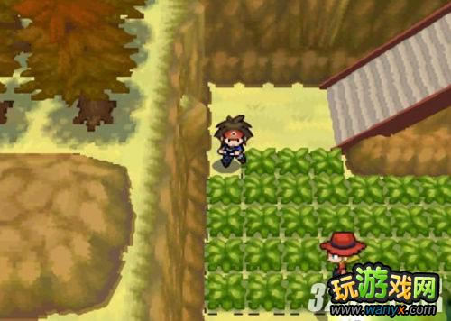 NDS《口袋妖怪黑白2》获得特防特攻狗圈方法