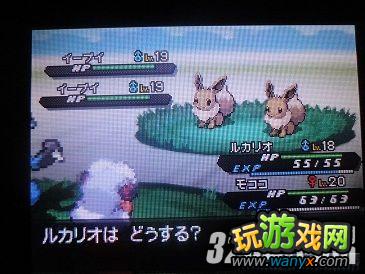 NDS《口袋妖怪黑白2》小伊布出现地点
